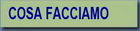 COSA FACCIAMO